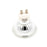 Halogen Lamp