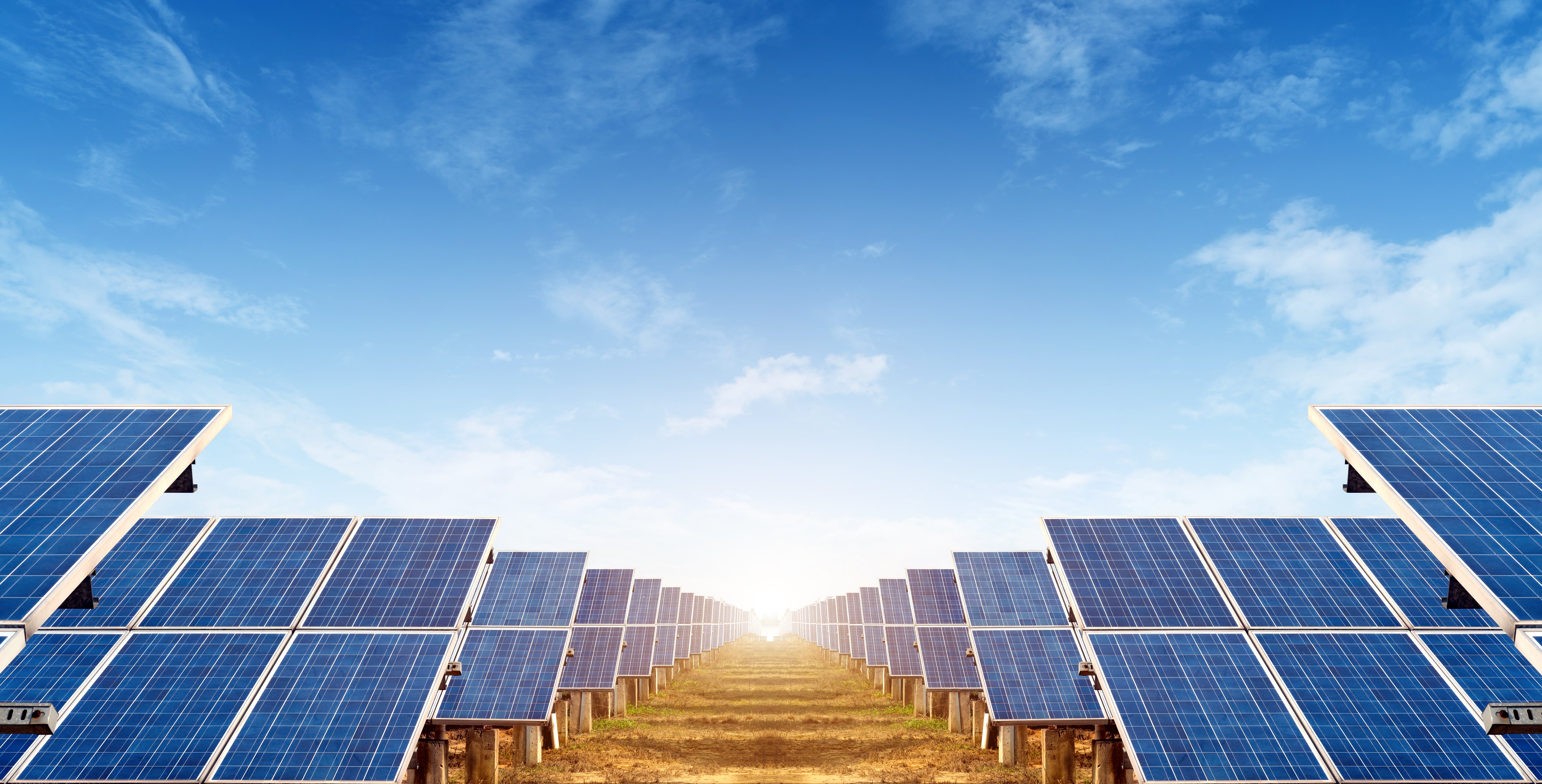 Shop renewables