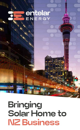 Entelar Energy Commercial Brochure