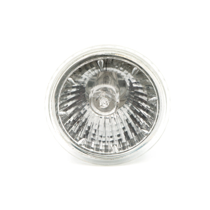 Halogen Lamp