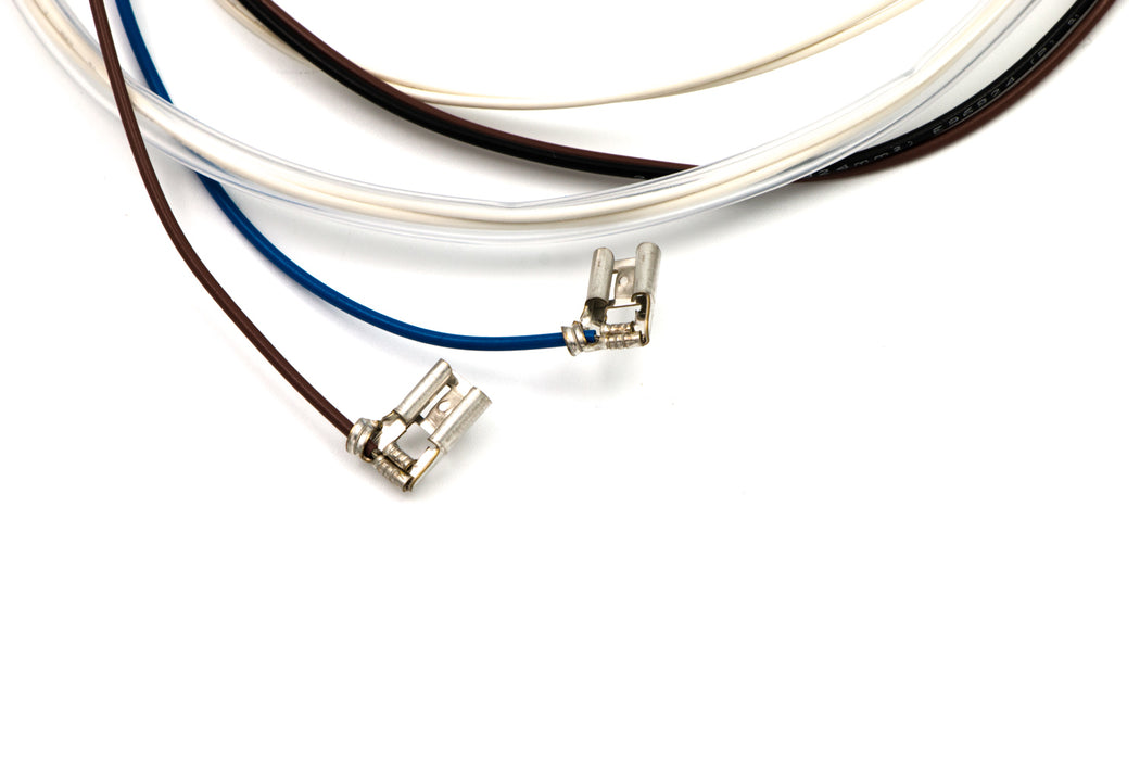 Lid Switch & Harness