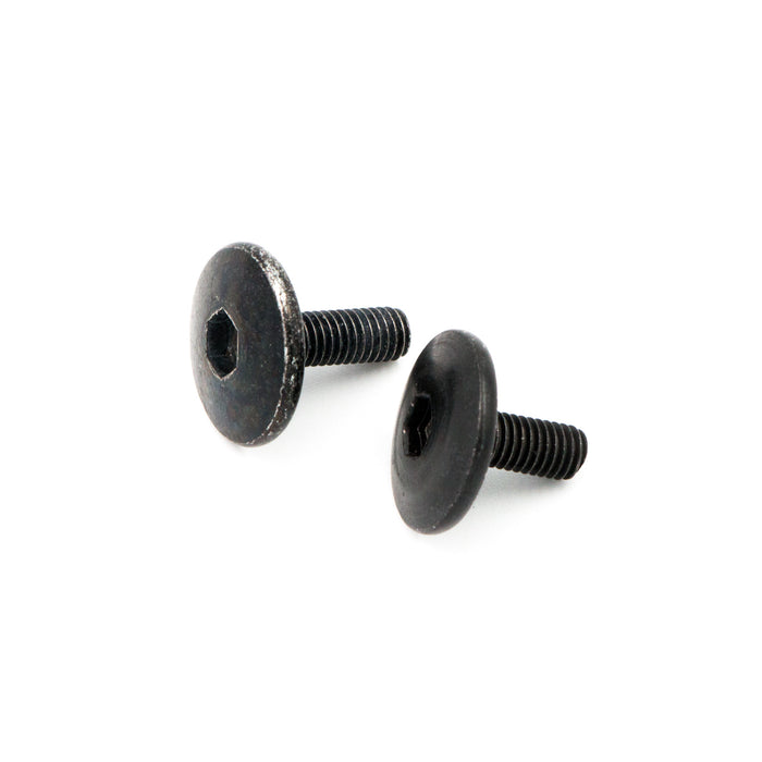 Screws for Handle x2